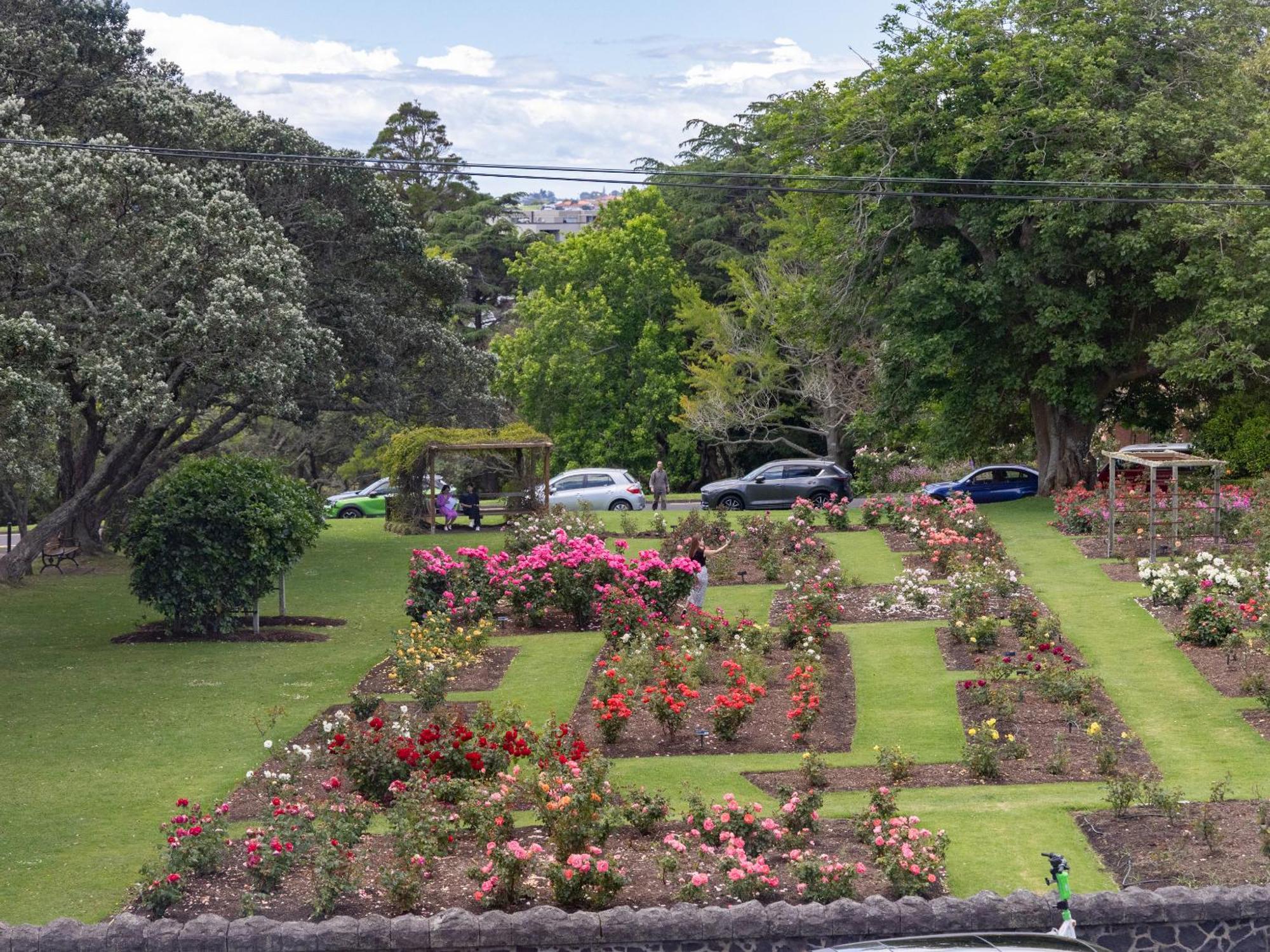Auckland Rose Park Hotel מראה חיצוני תמונה